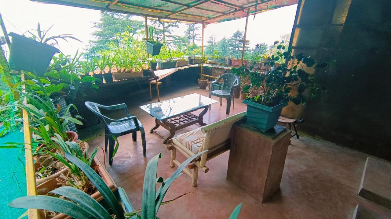 Mcleodganj Bed & Breakfast McLeod Ganj Ngoại thất bức ảnh